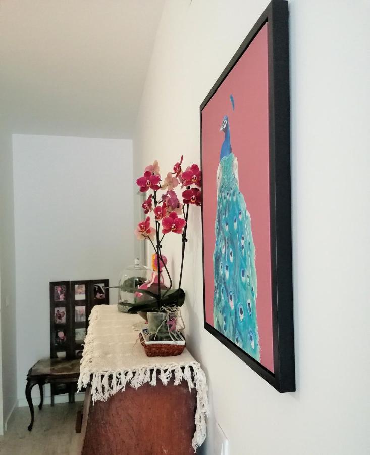 سيتوبال Lilac Homestay المظهر الخارجي الصورة