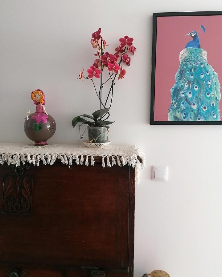 سيتوبال Lilac Homestay المظهر الخارجي الصورة